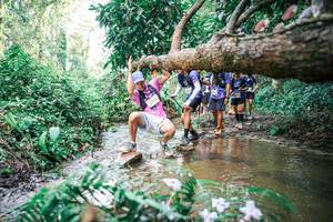 BIB: 
                            <button type="button" onclick="openModal(25517229)" class="btn btn-primary btn-sm float-right btn-popup" data-toggle="modal" data-target=".modal-high-quality">
                        <i class="fas fa-shopping-cart"></i> Add to Cart
                    </button>
                                            <button type="button" onclick="isThisMe(25517229, true)" class="btn btn-success btn-sm float-right btn-popup btn-isme hidden" data-toggle="tooltip" data-placement="bottom" title="นี่คือรูปของคุณใช่ไหม คลิกที่นี่เพื่อเอาเข้าอัลบั้ม">
                        <i class="fas fa-plus"></i> Add to album
                    </button>
                    <button type="button" onclick="isThisMe(25517229, false)" class="btn btn-warning btn-sm float-right btn-popup btn-isnotme hidden">
                        <i class="fas fa-ban"></i> Remove from album
                    </button>